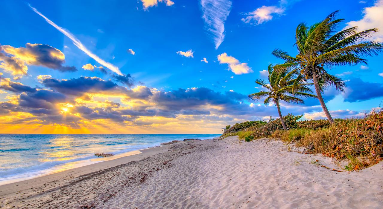 Individual real estate investors in Palm Beach County